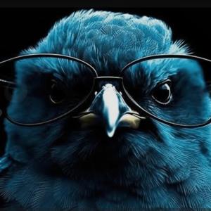 Виталий Кодак