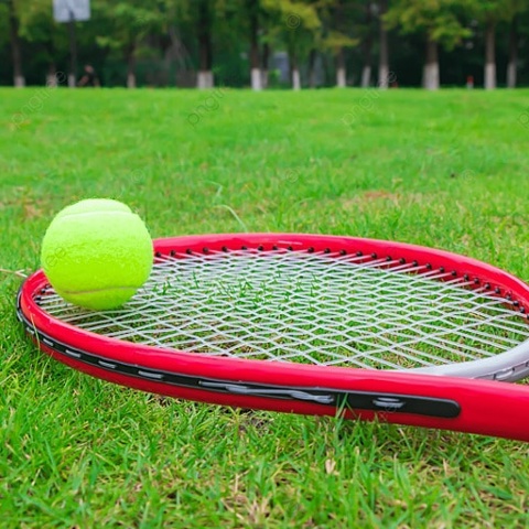 Андрей Векшегонов